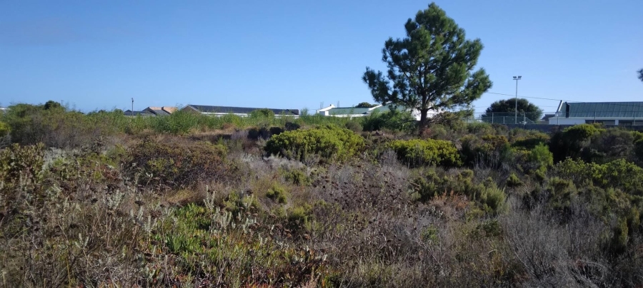 0 Bedroom Property for Sale in Fisherhaven Western Cape